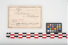 Etikett zu Bronzegewandbesatzknöpfchen (NHMW-PRAE-025935)
